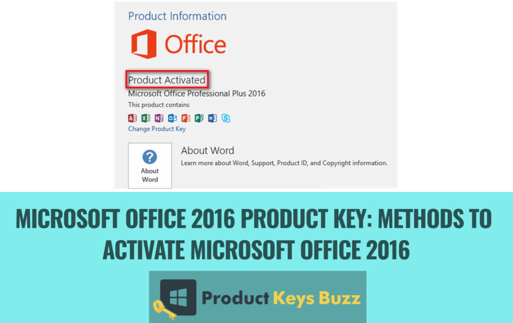 active office 2016 for mac